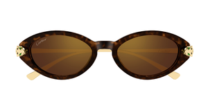 cartier ct0634s 002 ovale sonnenbrille in havana gold mit braunen gläsern