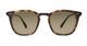 Getty II | Honu Tortoise