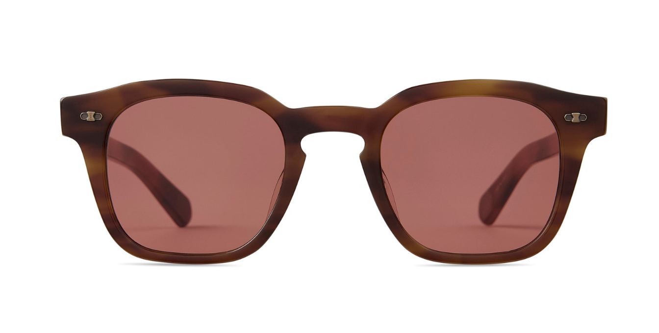mister leight adonis moth tortoise  front
