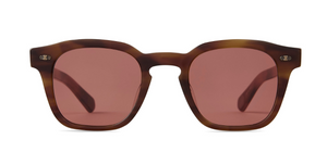 mister leight adonis moth tortoise  front