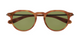 Dorian S | Amber Tortoise