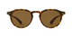 Dorian S | Hickory Tortoise