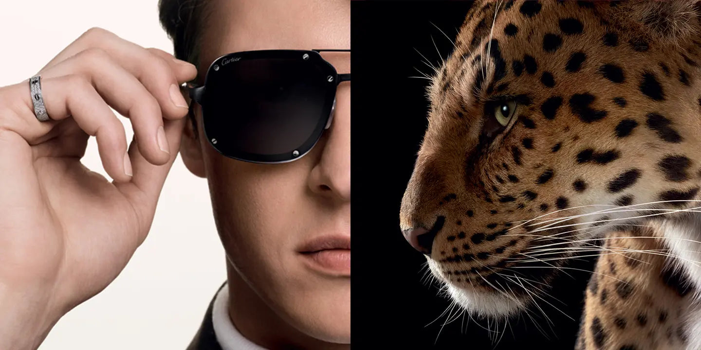 Luxury Cartier sunglasses by leidmann