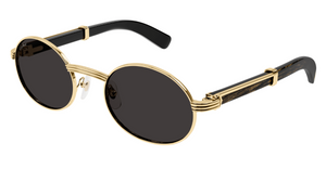 Cartier CT0464S | 001