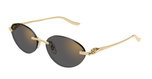 Cartier CT0504S | 001