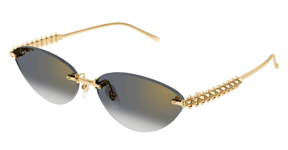 Cartier CT0543S 001 – Leidmann