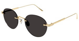 Cartier CT0393S | 002