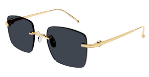 Cartier 0403S | 002