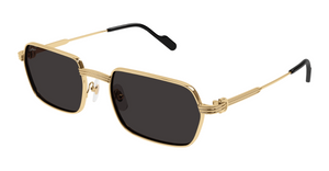 Cartier 0463S | 001