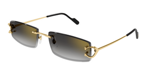 Cartier CT0465S | 001