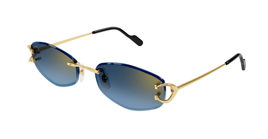 Cartier 0467S 002 – Leidmann
