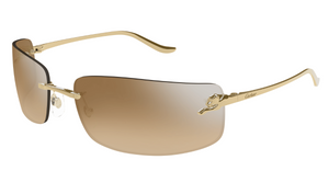 Cartier CT0503S | 004