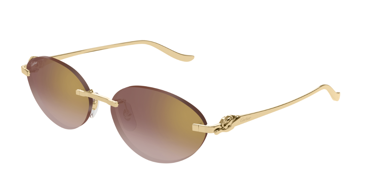 Cartier CT0504S | 002