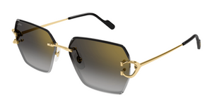 Cartier CT0466S | 001