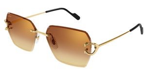 Cartier CT0466S | 004