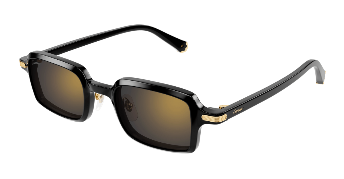 Cartier CT0539S | 001