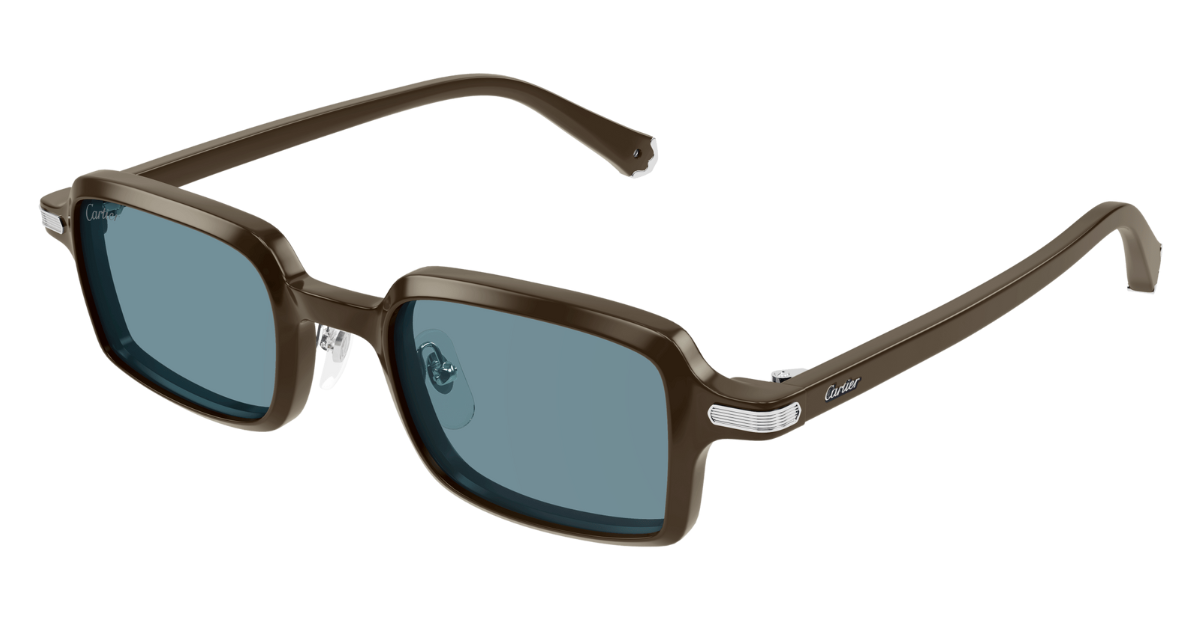 Cartier CT0539S | 005