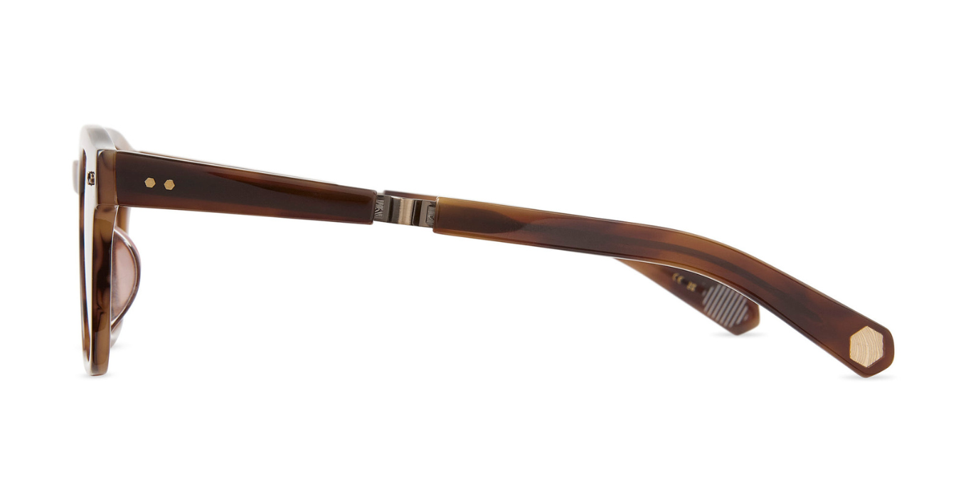 mister leight adonis moth tortoise side