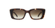 Carman | Leopard Tortoise